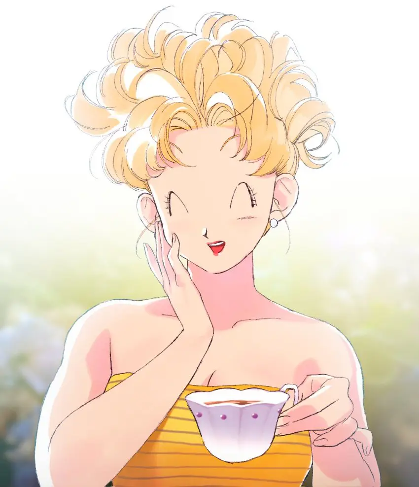 Bikini Brief | Bulma's mother