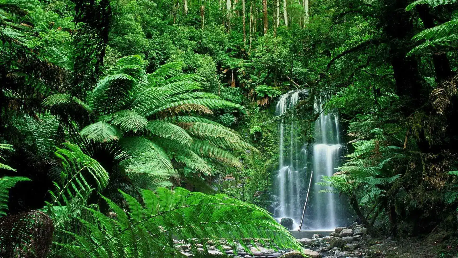 Fertilia, Land of Boundless Fertility