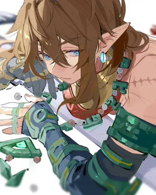 Link [DOUBLE-LIFE HERO]